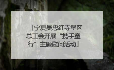 宁夏吴忠红寺堡区总工会开展“携手童行”主题慰问活动