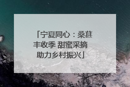 宁夏同心：桑葚丰收季 甜蜜采摘助力乡村振兴