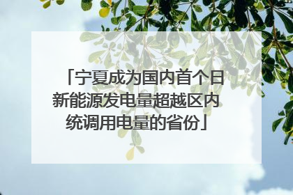 宁夏成为国内首个日新能源发电量超越区内统调用电量的省份
