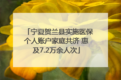 宁夏贺兰县实施医保个人账户家庭共济 惠及7.2万余人次