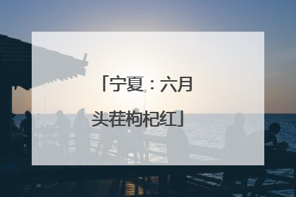 宁夏：六月头茬枸杞红