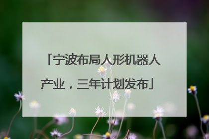宁波布局人形机器人产业，三年计划发布