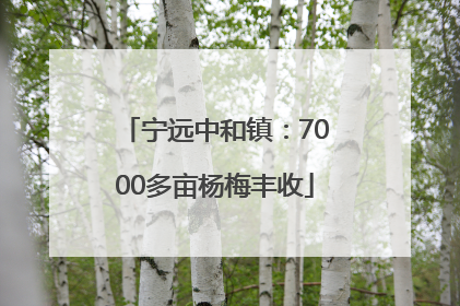 宁远中和镇：7000多亩杨梅丰收