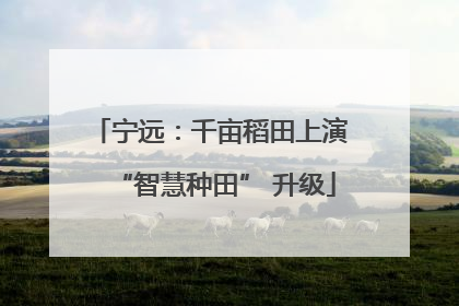 宁远：千亩稻田上演 “智慧种田” 升级