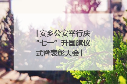 安乡公安举行庆“七一”升国旗仪式暨表彰大会