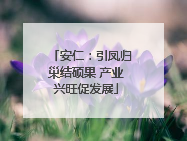 安仁：引凤归巢结硕果 产业兴旺促发展