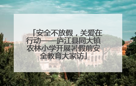 安全不放假，关爱在行动——庐江县同大镇农林小学开展暑假前安全教育大家访