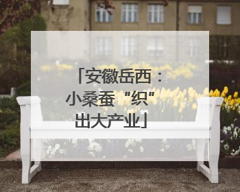 安徽岳西：小桑蚕“织”出大产业