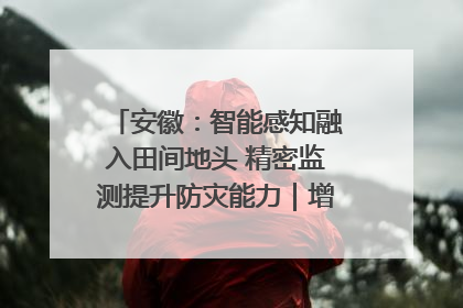 安徽：智能感知融入田间地头 精密监测提升防灾能力｜增发国债气象项目落地见效系列报道