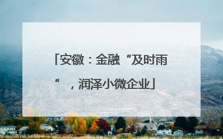 安徽：金融“及时雨”，润泽小微企业