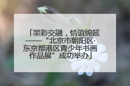 墨彩交融，情谊绵延——“北京市朝阳区·东京都港区青少年书画作品展”成功举办
