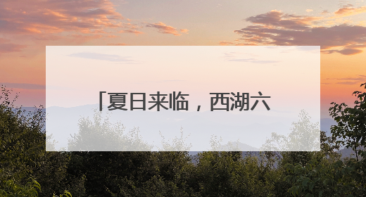 夏日来临，西湖六月黄上市了吗？