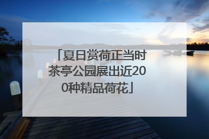 夏日赏荷正当时 茶亭公园展出近200种精品荷花