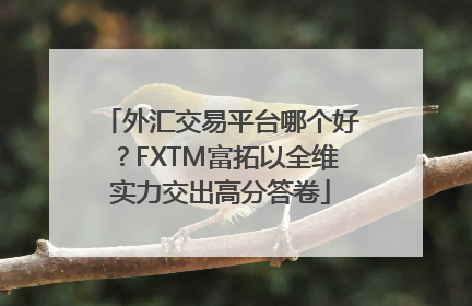 外汇交易平台哪个好？FXTM富拓以全维实力交出高分答卷