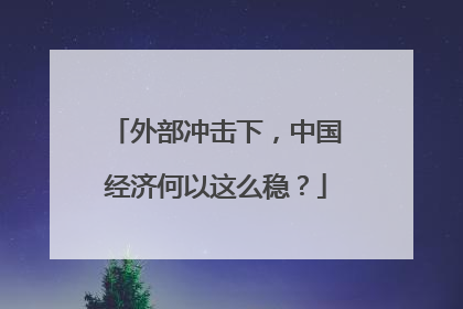 外部冲击下，中国经济何以这么稳？