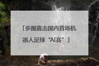 多图直击国内首场机器人足球“AI赛”