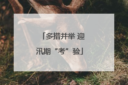多措并举 迎汛期“考”验