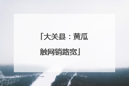 大关县：黄瓜触网销路宽