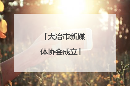 大冶市新媒体协会成立