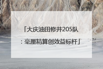 大庆油田修井205队：毫厘精算创效益标杆