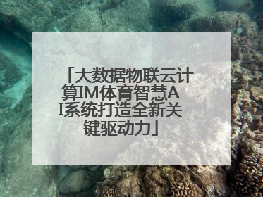 大数据物联云计算IM体育智慧AI系统打造全新关键驱动力
