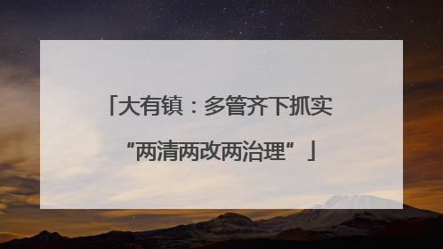 大有镇：多管齐下抓实“两清两改两治理”