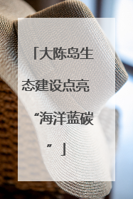 大陈岛生态建设点亮“海洋蓝碳”