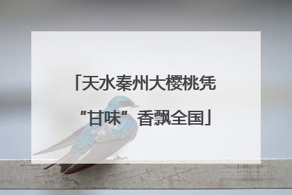 天水秦州大樱桃凭“甘味”香飘全国