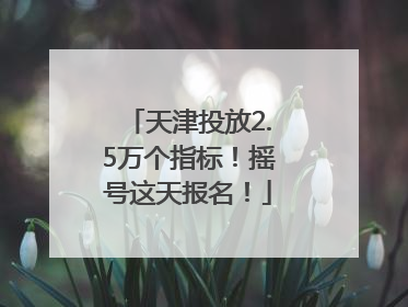 天津投放2.5万个指标！摇号这天报名！