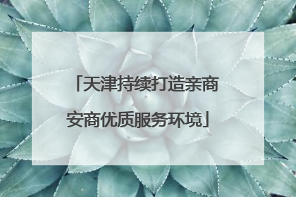 天津持续打造亲商安商优质服务环境
