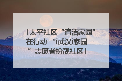 太平社区“清洁家园”在行动 “i武汉i家园”志愿者扮靓社区
