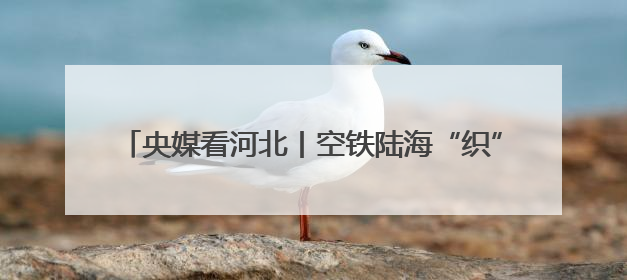央媒看河北丨空铁陆海“织”新网 经贸盛会“链”全球