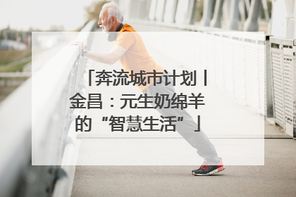 奔流城市计划丨金昌：元生奶绵羊的“智慧生活”