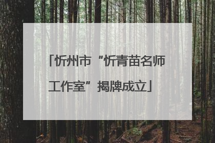 忻州市“忻青苗名师工作室”揭牌成立