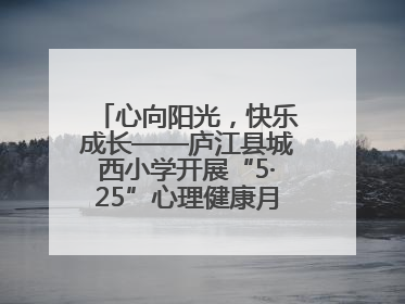 心向阳光，快乐成长——庐江县城西小学开展“5·25”心理健康月系列活动