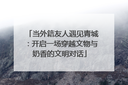 当外籍友人遇见青城：开启一场穿越文物与奶香的文明对话