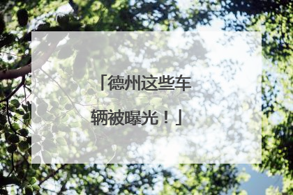 德州这些车辆被曝光！