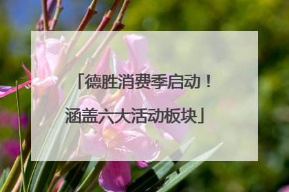 德胜消费季启动！涵盖六大活动板块