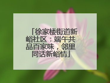 徐家楼街道新峪社区：端午共品百家味，邻里同话新峪情