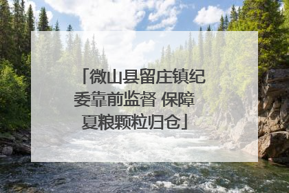 微山县留庄镇纪委靠前监督 保障夏粮颗粒归仓