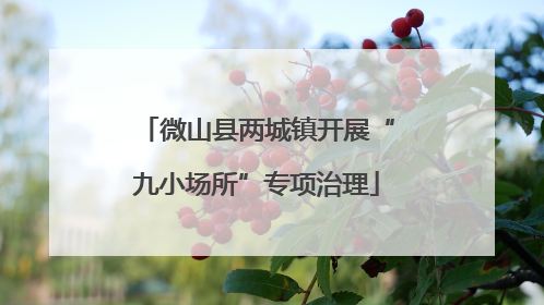 微山县两城镇开展“九小场所”专项治理