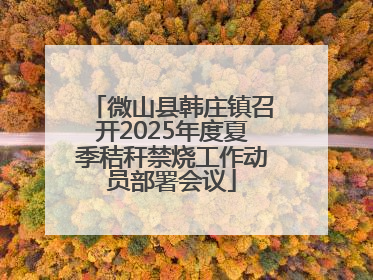 微山县韩庄镇召开2025年度夏季秸秆禁烧工作动员部署会议
