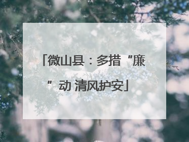 微山县：多措“廉”动 清风护安