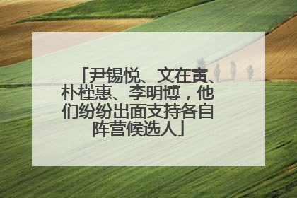 尹锡悦、文在寅、朴槿惠、李明博，他们纷纷出面支持各自阵营候选人