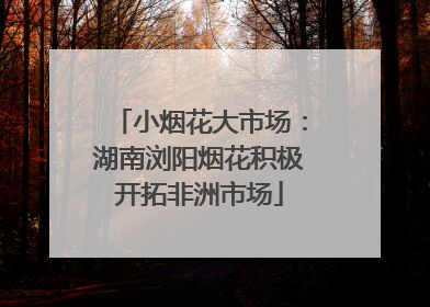 小烟花大市场：湖南浏阳烟花积极开拓非洲市场