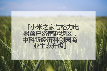 小米之家与格力电器落户济南起步区，中科新经济科创园商业生态升级