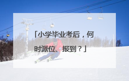 小学毕业考后，何时派位、报到？