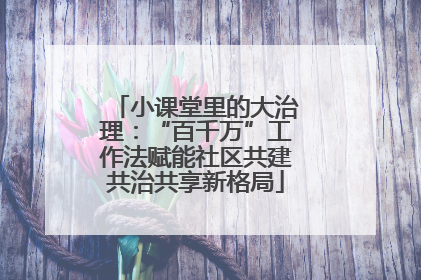 小课堂里的大治理：“百千万”工作法赋能社区共建共治共享新格局