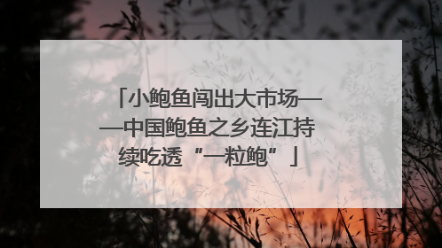 小鲍鱼闯出大市场——中国鲍鱼之乡连江持续吃透“一粒鲍”