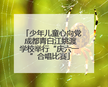 少年儿童心向党 成都青白江姚渡学校举行“庆六一”合唱比赛